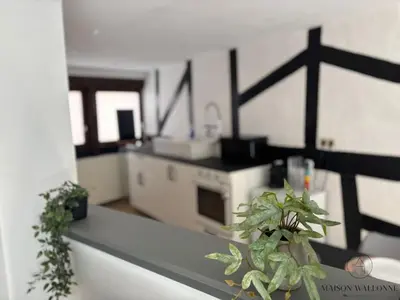 a kitchen with a counter top with plants on it at Petite maison typique en Outremeuse - 2 à 4 personnes in Liège