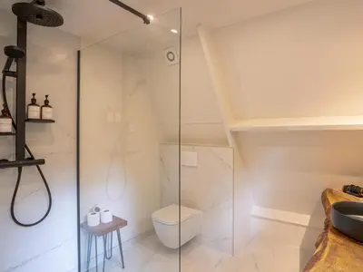 a bathroom with a shower with a toilet and a sink at Boshuisje Rekem - Plum in Lanaken