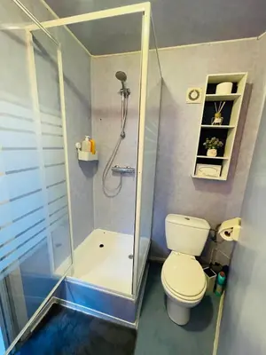 a bathroom with a shower and a toilet at Appartement rustique à Liège in Liège