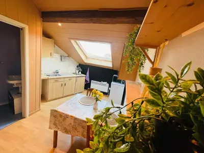 a kitchen with a table and some plants in a room at Appartement rustique à Liège in Liège