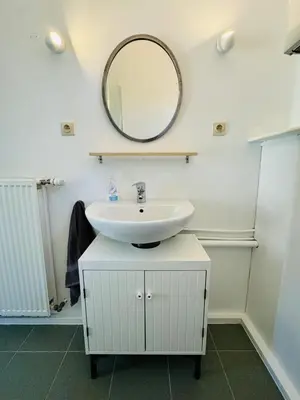 a bathroom with a sink and a mirror on the wall at Boshuisje June - middenin de natuur op een uurtje rijden van Antwerpen en Maastricht in Balen