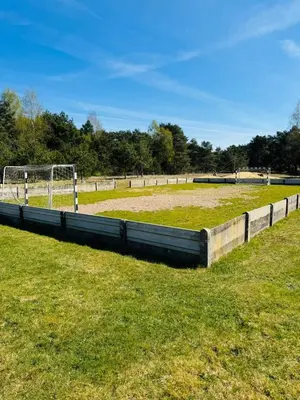 a large grassy field with a fence around a horse at Boshuisje June - middenin de natuur op een uurtje rijden van Antwerpen en Maastricht in Balen