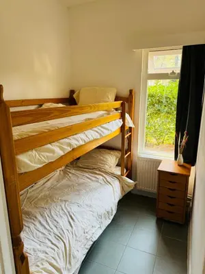 two bunk beds in a room with a window at Boshuisje June - middenin de natuur op een uurtje rijden van Antwerpen en Maastricht in Balen