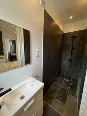 a bathroom with a white sink and a shower at home sweet home in Liège