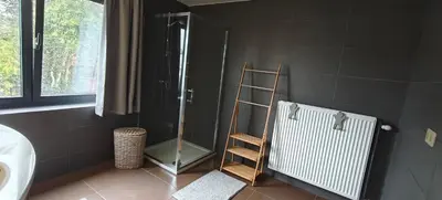 a bathroom with a shower and a ladder in it at Het Mezennest in Zonhoven