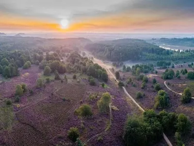 an aerial view of a field with trees and a sunset at Forest Chalet in Lanklaar in Lanklaar