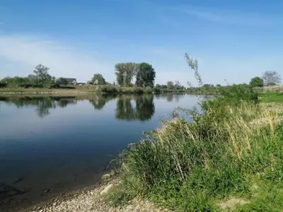 a body of water with trees in the background at Forest Chalet in Lanklaar in Lanklaar