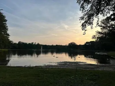 a lake with ducks in the water at sunset at Forest Chalet in Lanklaar in Lanklaar