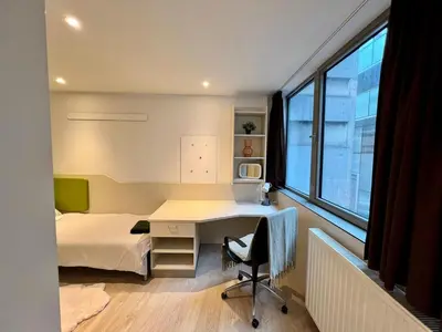 a bedroom with a desk and a bed and a window at Business trip - Sauna, gym, rooftop in Liège