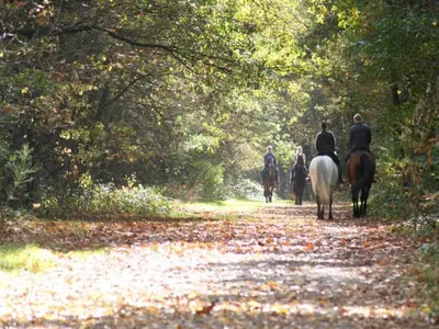 a group of people riding horses down a trail at Farm Stay with Sauna, Teuven in Teuven