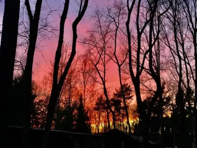 a colorful sky with trees in the foreground at Farm Stay with Sauna, Teuven in Teuven