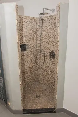 a shower with a shower head in a bathroom at Green& Light House16 in Kettenis