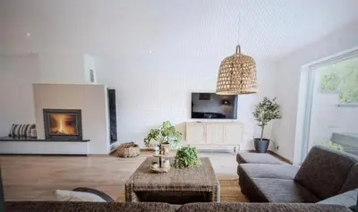 a living room with a couch and a fireplace at Green& Light House16 in Kettenis