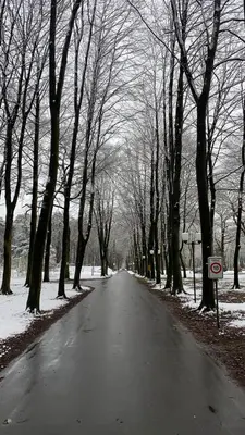 a snow covered road with trees on either side at vakantie-hengelhoef in Houthalen-Helchteren