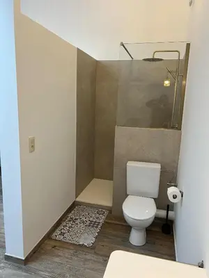 a small bathroom with a toilet and a shower at La maison de MiLy in Bassenge