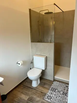 a bathroom with a toilet and a shower at La maison de MiLy in Bassenge
