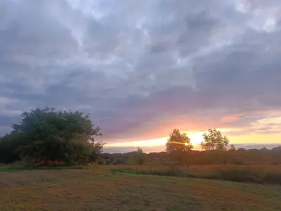 a sunset in a field with two trees in a field at Oseraie Cabins - Wild lodges près de Maastricht in Visé