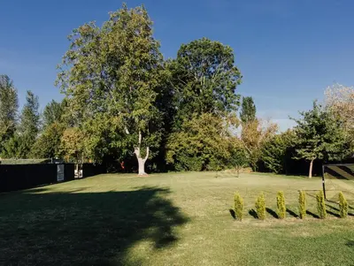 a field with a tree in the middle of it at Le Surdan in Bassenge
