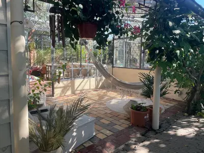 a garden with a hammock in a greenhouse with plants at Het Wolvennest in Maasmechelen