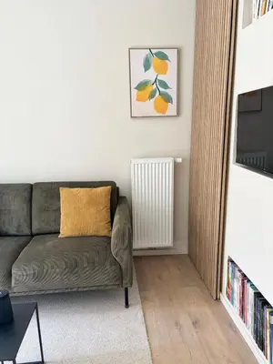 a living room with a couch and a radiator at Studio Auguste in Liège