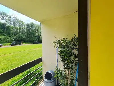 a plant on a porch with a view of a field at Pause Nature N in La Calamine