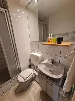 a bathroom with a toilet and a sink at Pause Nature N in La Calamine