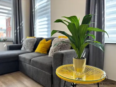 Gallery image of Le cosy d'Outremeuse - Pour 2 ou 4 personnes in Liège