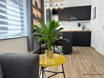 Gallery image of Le cosy d'Outremeuse - Pour 2 ou 4 personnes in Liège