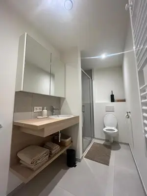 a bathroom with a sink and a toilet at Le Cabinet in Liège