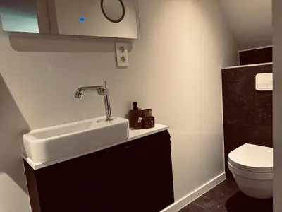 a bathroom with a sink and a toilet at Charme logies Kampernoelie in Hoeselt