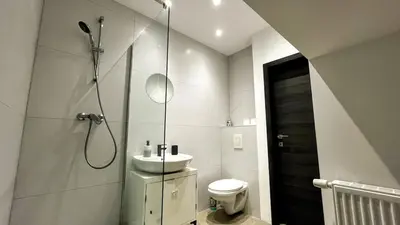 a bathroom with a shower and a toilet and a sink at Aux Cèdres - Peaceful stay with easy parking in Liège