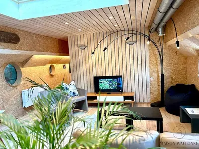 a living room with a couch and a tv at La péniche de Santa Cruz - Sur la Meuse, centre ville in Liège