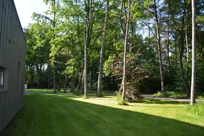 a yard with green grass and trees next to a building at Twinstone Lodge in Genk