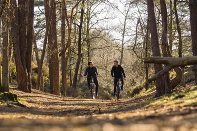 two people riding bikes down a forest trail at Woodz Lodges - Unwind in nature in Heusden - Zolder