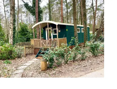 a green cabin with a porch in the woods at The Butterfly - Forest - Dog - Maastricht in Lanaken