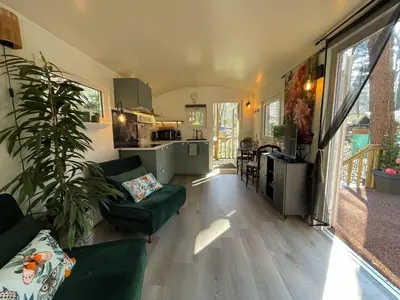 a living room with a green couch and a kitchen at The Butterfly - Forest - Dog - Maastricht in Lanaken