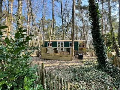 a cabin in the woods with a fence at The Butterfly - Forest - Dog - Maastricht in Lanaken