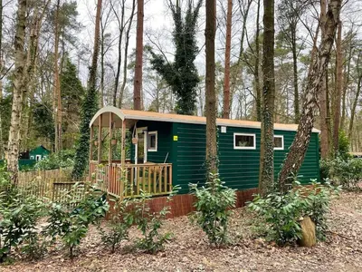 a green tiny house in the woods at The Butterfly - Forest - Dog - Maastricht in Lanaken