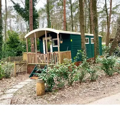 The Butterfly - Forest - Dog - Maastricht