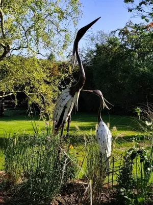 two birds standing in the grass in a field at Tiny House Dreiländereck in La Calamine