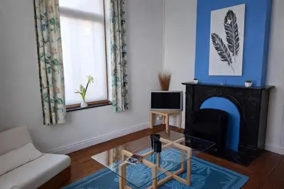 a living room with a couch and a fireplace at Maison de Maître in Liège