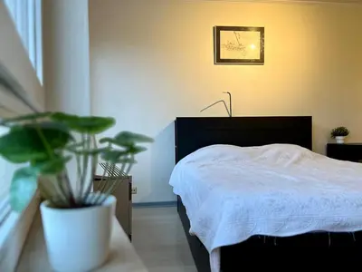 a bedroom with a bed and a potted plant at Le studio de la Boverie - Entièrement équipé in Liège