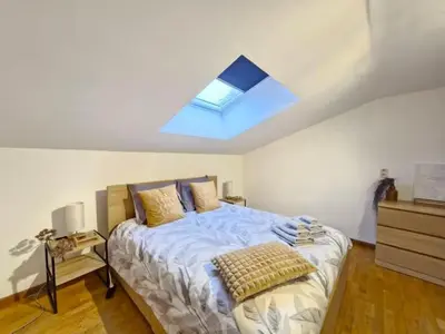 a bedroom with a large bed with a skylight at Cocon Liégeois in Liège