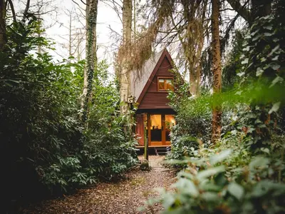 a small cabin in the woods with trees at Boshuisje Rekem - Sylva in Lanaken
