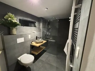 a bathroom with a white toilet and a sink at Le Marzelheide 2 in Lontzen