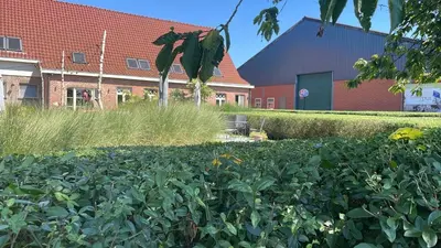 a field of plants in front of a building at B&B De Zandput in Balen