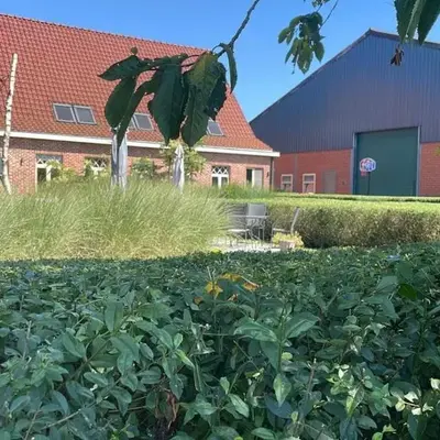 B&B De Zandput