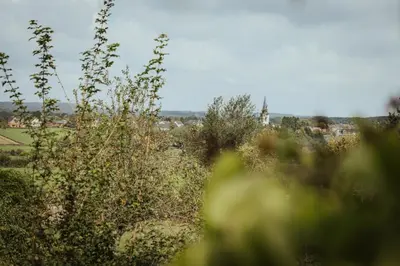 a view of a field with trees and buildings at Im Prummehuck in Raeren