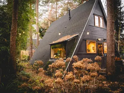 a black tiny house in the woods at Boshuisje Rekem - Tanuki in Lanaken
