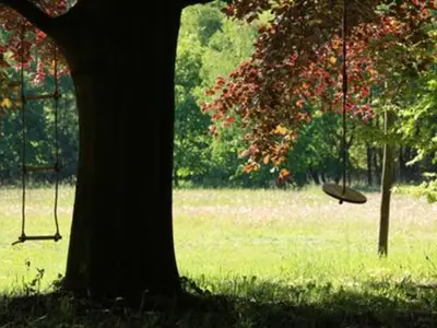 a frisbee hanging from a tree in a park at Holiday Home Heidebos für 8 Personen by Interhome in Oudsbergen